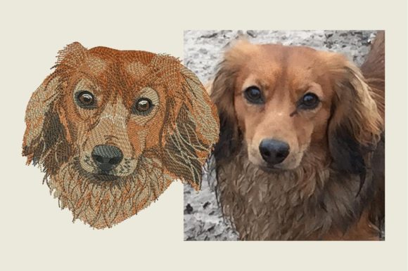 Longhaired Dachshund: A Holiday Embroidery Review